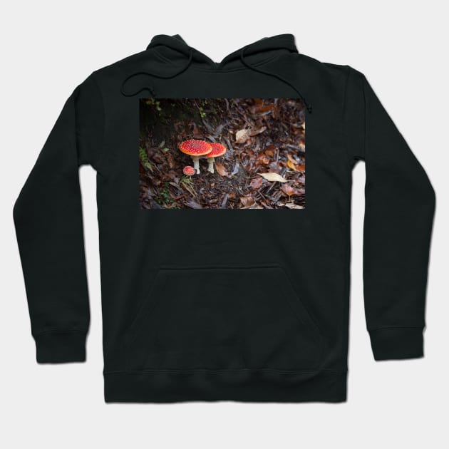 Fly Agaric Hoodie by melbournedesign